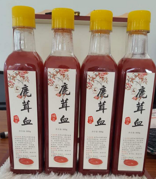 新手一天喝多少鹿血酒效果比较好？