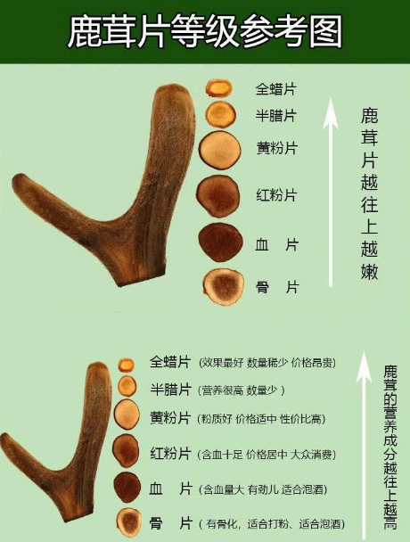 东北梅花鹿养殖基地有哪些有以下几个