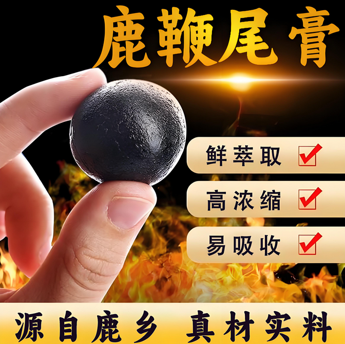 鹿鞭膏是起什么作用的