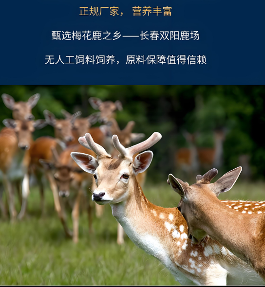 男人吃鹿鞭膏的见效时间分析