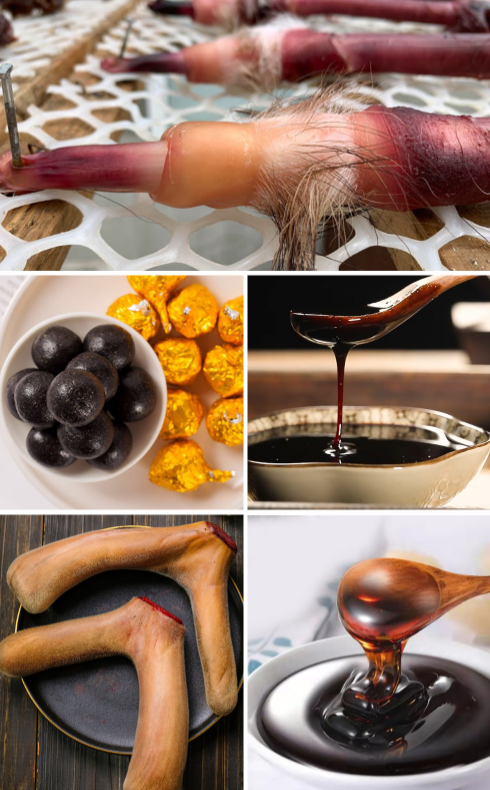 为什么秦皇岛的男人都喜欢东北鹿鞭膏(图1) lcp.png