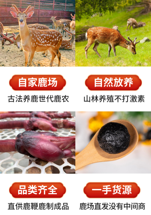 廊坊哪里买正宗东北鹿鞭膏(图1) lc.png